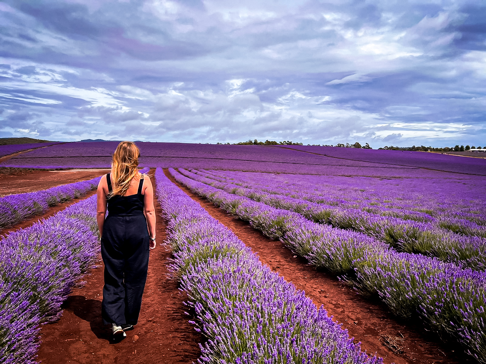 Titelbild mit ätherischen Ölen